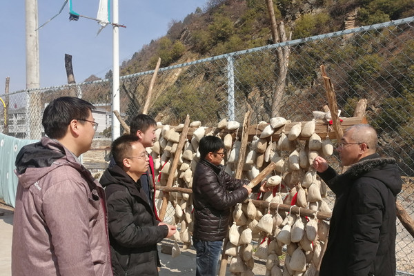 251645780231116623.jpeg 1.jpg