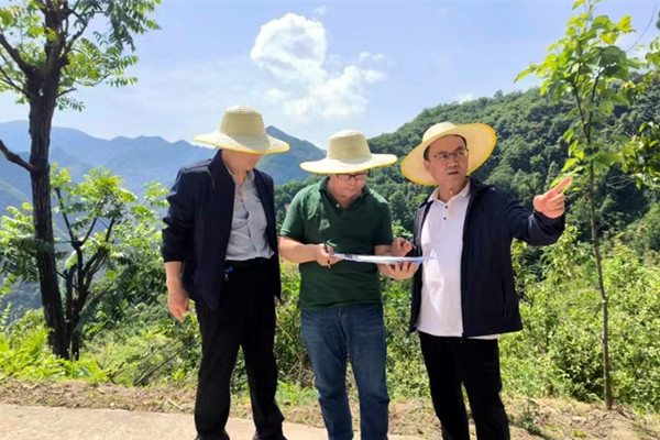 201716170033182339.jpeg 3.jpg